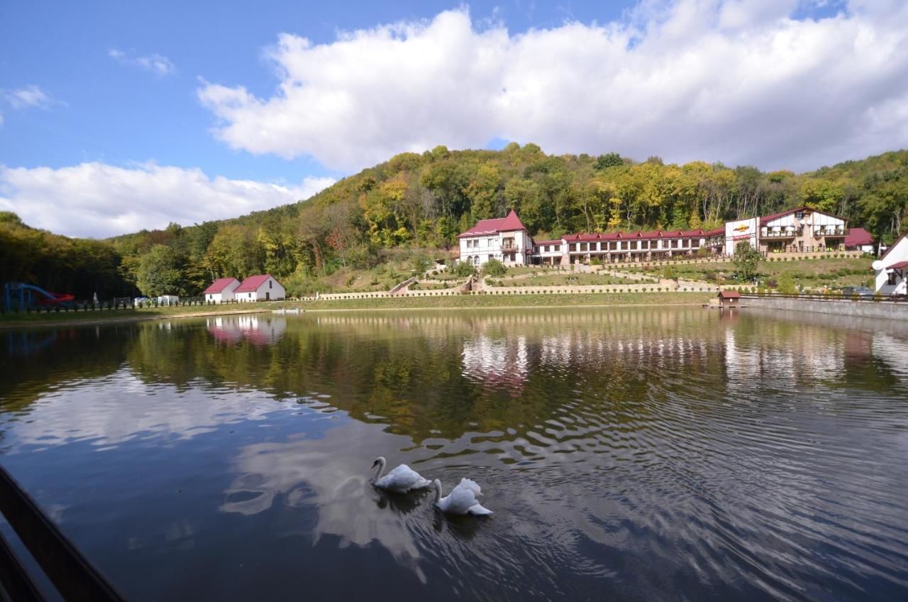 Отель MishyN-City Hotel Dobrovlyany-4