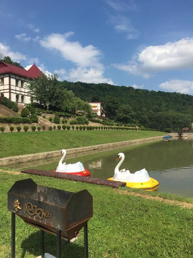 Отель MishyN-City Hotel Dobrovlyany-10